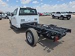2024 Ford F-350 Regular Cab SRW 4x2 Cab Chassis for sale #487295 - photo 3