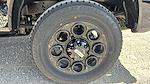 2025 Ford F-250 Crew Cab 4x4 Pickup for sale #501319 - photo 19