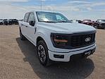 2025 Ford F-150 SuperCrew Cab 4x4 Pickup for sale #523541 - photo 6