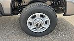 2025 Ford F-250 Crew Cab 4x4 Pickup for sale #532004 - photo 18