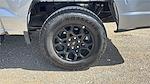 2025 Ford F-150 SuperCrew Cab 4x4 Pickup for sale #536942 - photo 20