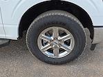 2025 Ford F-150 SuperCrew Cab 4x4 Pickup for sale #544036 - photo 7