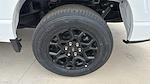 2025 Ford F-150 SuperCrew Cab 4x2 Pickup for sale #551257 - photo 20
