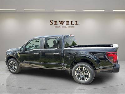 2025 Ford F-150 SuperCrew Cab 4x2 Pickup for sale #551476 - photo 2