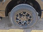 2025 Ford F-150 SuperCrew Cab 4x4 Pickup for sale #555394 - photo 7
