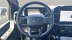 2025 Ford F-150 SuperCrew Cab 4x4 Pickup for sale #556740 - photo 11