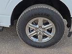 2025 Ford F-150 SuperCrew Cab 4x4 Pickup for sale #556802 - photo 7