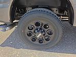 2025 Ford F-250 Crew Cab 4x4 Pickup for sale #579195 - photo 7