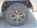 2025 Ford F-150 SuperCrew Cab 4WD Pickup for sale #579409 - photo 10