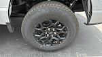 2025 Ford F-150 SuperCrew Cab 4x4 Pickup for sale #586124 - photo 20