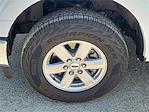 2025 Ford F-150 SuperCrew Cab 4x4 Pickup for sale #589230 - photo 10