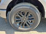 2024 Ford F-150 SuperCrew Cab 4x4 Pickup for sale #R488653 - photo 9
