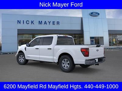 2025 Ford F-150 SuperCrew Cab 4x4 Pickup for sale #F50405 - photo 2