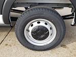 New 2026 Ford Transit 250 Medium Roof Empty Cargo Van for sale #TKA24428 - photo 21