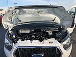 2024 Ford Transit 250 Low Roof RWD Empty Cargo Van for sale #32670U - photo 20