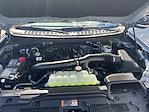 2025 Ford Expedition 4x4 SUV for sale #925329 - photo 22