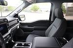 2024 Ford F-150 SuperCrew Cab 4x4 Pickup for sale #C240570 - photo 13