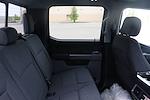 2024 Ford F-150 SuperCrew Cab 4x4 Pickup for sale #C240570 - photo 15