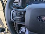 New 2024 Ford F-150 XLT SuperCrew Cab for sale #C241184 - photo 29