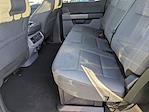 New 2024 Ford F-150 XLT SuperCrew Cab for sale #C241184 - photo 46