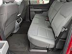 New 2024 Ford F-150 XLT SuperCrew Cab for sale #C241185 - photo 42