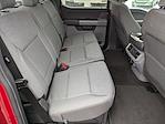 New 2024 Ford F-150 XLT SuperCrew Cab for sale #C241185 - photo 43