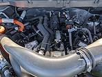 2024 Ford F-150 SuperCrew Cab 4WD Pickup for sale #C241185 - photo 53