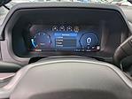 2024 Ford F-150 SuperCrew Cab 4WD Pickup for sale #C241451 - photo 26