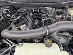 2024 Ford F-150 SuperCrew Cab 4WD Pickup for sale #C241451 - photo 51