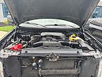 2014 Ford F-150 SuperCrew Cab 4x4 Pickup for sale #C241526A - photo 25