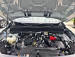 2023 Ford Bronco Sport AWD SUV for sale #C24D1506A - photo 26