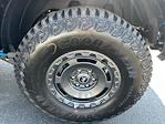 New 2024 Ford Bronco Big Bend 4WD SUV for sale #C24D1648 - photo 14