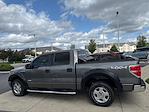 2013 Ford F-150 SuperCrew Cab 4x4 Pickup for sale #C250395BA - photo 3