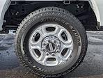 2025 Ford F-350 Crew Cab SRW 4WD Pickup for sale #C250616B - photo 14