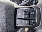 2025 Ford F-350 Crew Cab SRW 4WD Pickup for sale #C250616B - photo 29