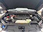 Used 2023 Ford F-150 XLT SuperCrew Cab for sale #C250636A - photo 29
