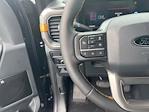 2025 Ford F-150 SuperCrew Cab 4x4 Pickup for sale #C250684 - photo 21