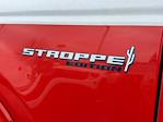 New 2025 Ford Bronco Stroppe Edition for sale #C250700 - photo 33
