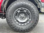 2025 Ford Bronco 4WD SUV for sale #C250703 - photo 28