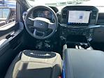 New 2025 Ford F-150 STX SuperCrew Cab 4x4 Pickup for sale #C250835 - photo 13