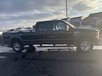 2010 Ford F-250 Crew Cab 4WD Pickup for sale #C250850B - photo 6