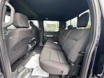 New 2025 Ford F-150 XLT SuperCrew Cab 4x4 Pickup for sale #C250933 - photo 11