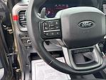 2024 Ford F-150 SuperCrew Cab 4WD Pickup for sale #C251018A - photo 19