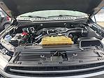 2020 Ford F-150 SuperCrew Cab 4WD Pickup for sale #C251026A - photo 30