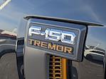 2025 Ford F-150 SuperCrew Cab 4WD Pickup for sale #C251203 - photo 10