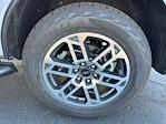 2025 Ford Expedition 4WD SUV for sale #C25D0909 - photo 16