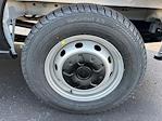 New 2026 Ford Transit 250 Medium Roof Empty Cargo Van for sale #C260224V - photo 15