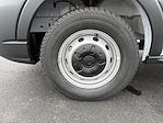 New 2026 Ford Transit 250 Low Roof Empty Cargo Van for sale #C260660 - photo 10