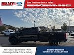 2024 Ford F-350 Crew Cab SRW 4WD Pickup for sale #CUN0504 - photo 2