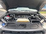 2023 Ford F-150 Super Cab 4WD Pickup for sale #CUN0583 - photo 41